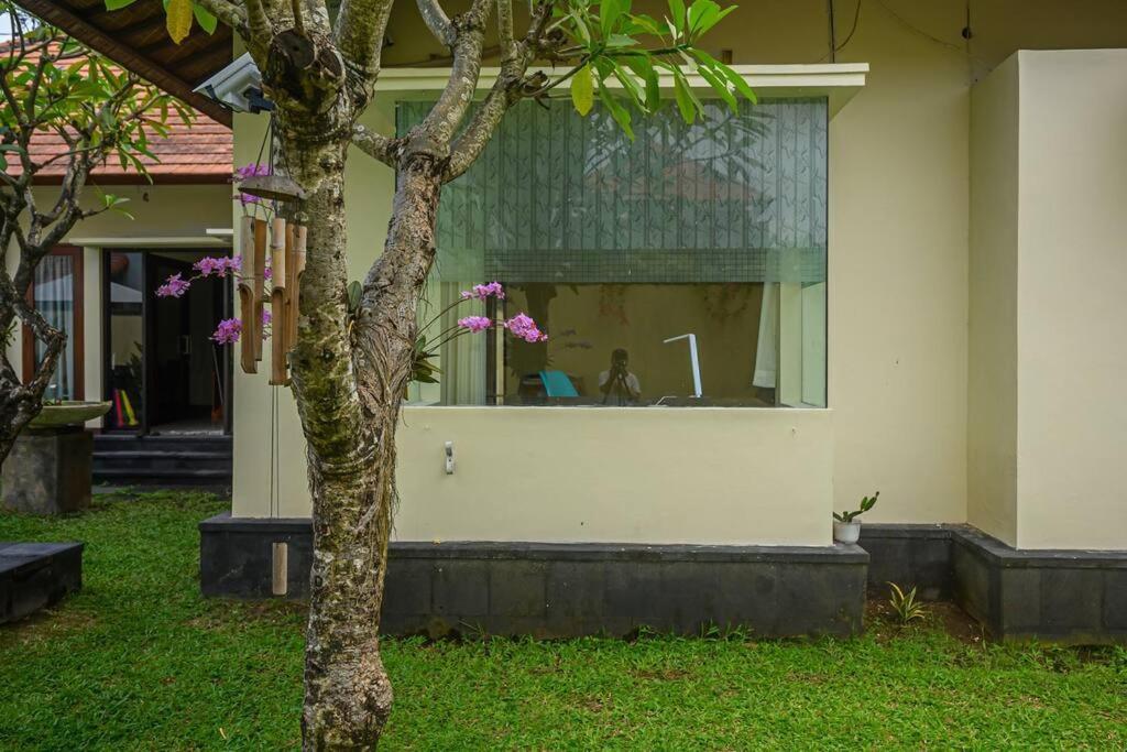 Lucky Lily Villa