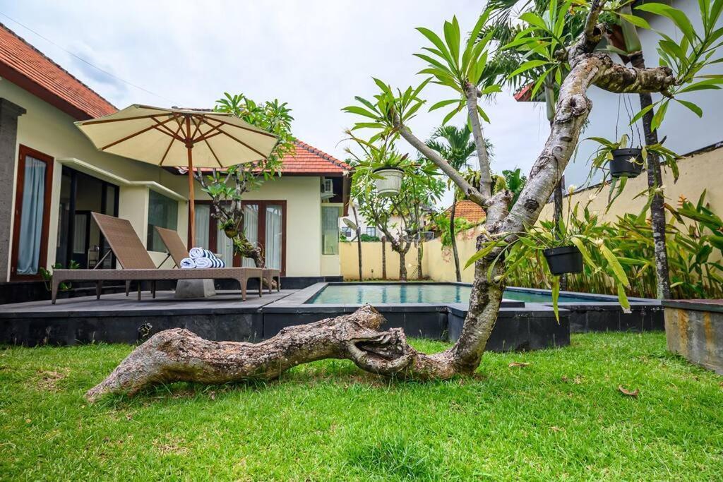 Lucky Lily Sanur (Bali)