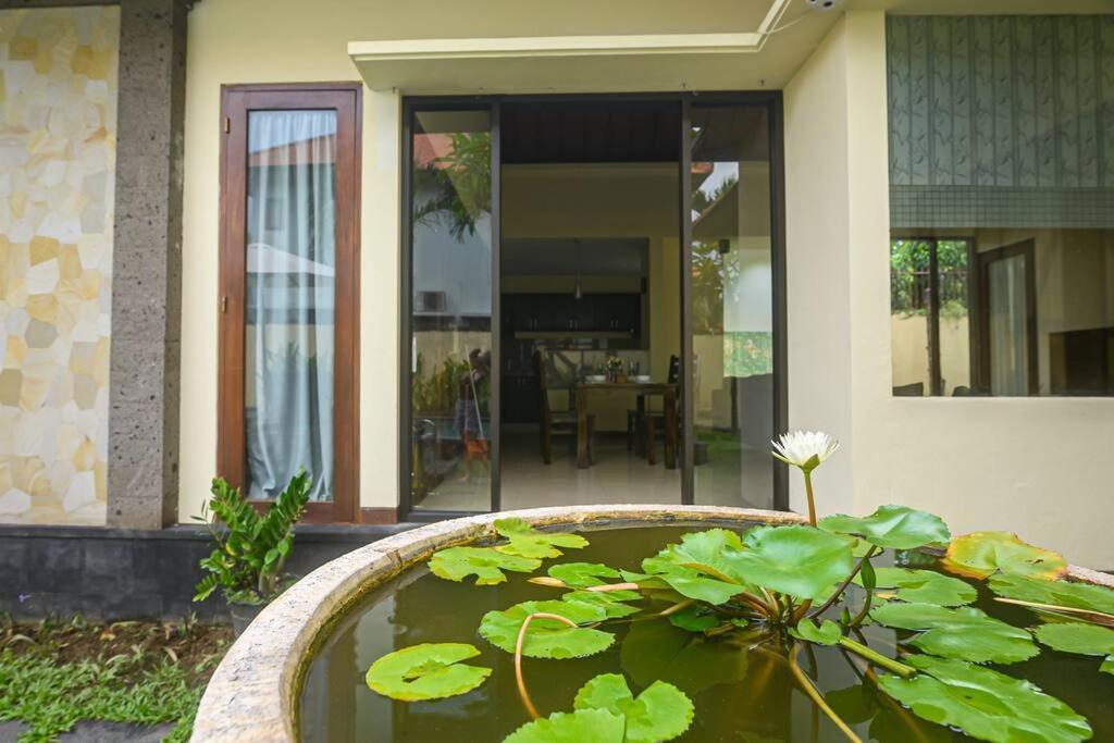 Lucky Lily Sanur (Bali)